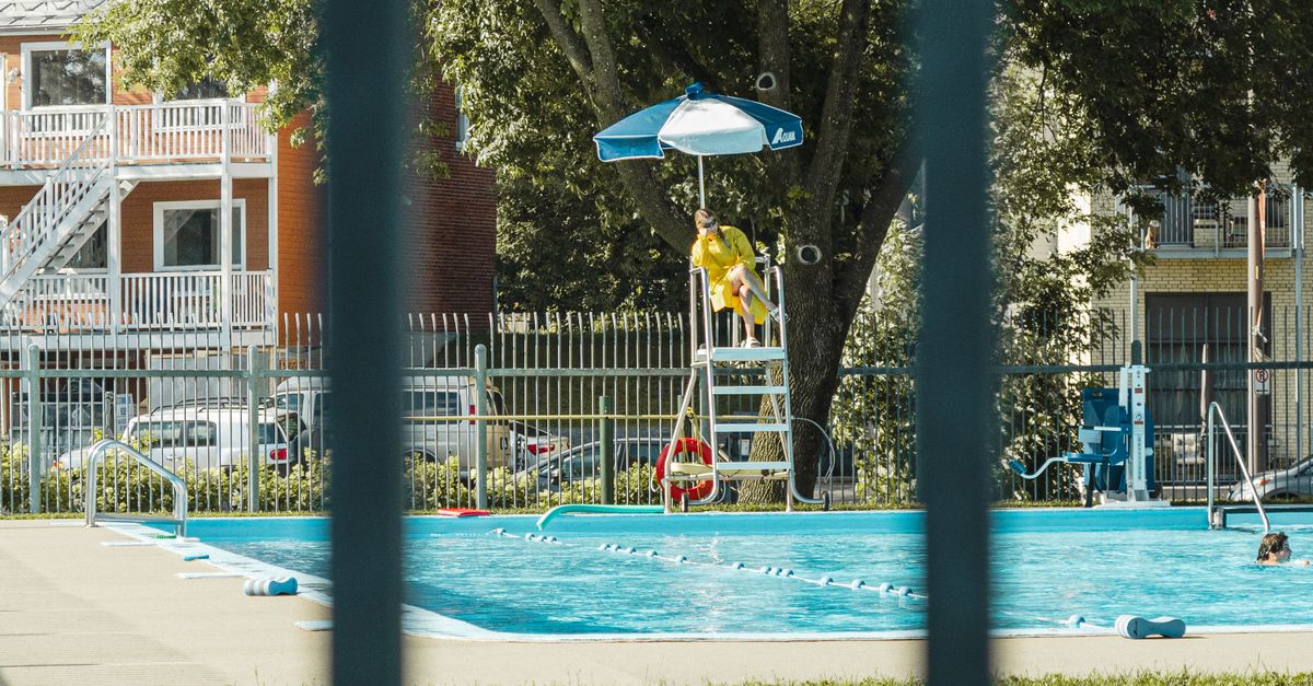 Comparing DIY Pool Inspections to Professional Services